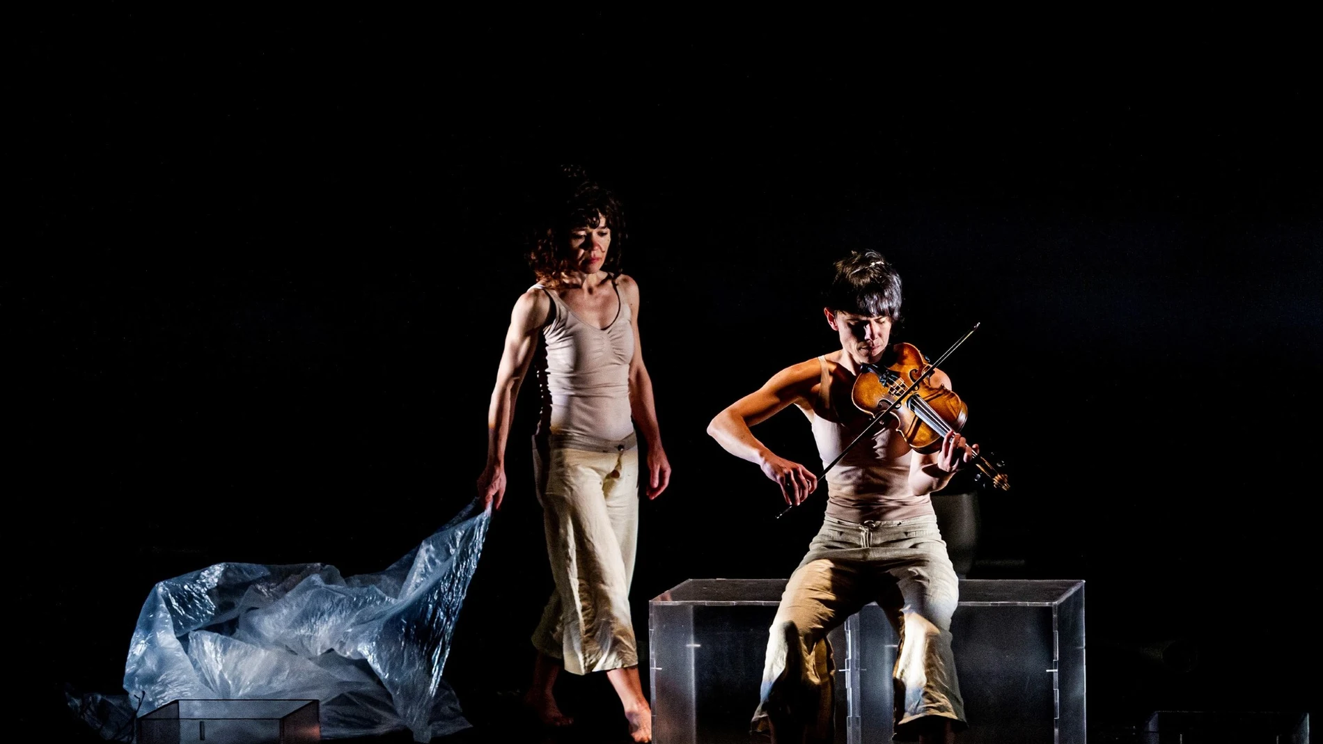 Espectáculo "Hacia la Raíz"