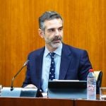 El consejero de Agricultura, Pesca, Agua y Desarrollo Rural de la Junta de Andaluc&iacute;a, Ram&oacute;n Fern&aacute;ndez-Pacheco, en comisi&oacute;n parlamentaria.