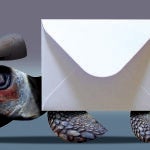 Invertir en futuro o en ganar las elecciones