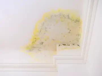 El riesgo de la humedad constante El riesgo de la humedad constante