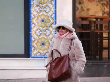 El frío ha llegado a las provincias andaluzas Imagen de transeúntes sevillanos protegiéndose del frío a pocos días de la entrada oficial del invierno. A 17 de diciembre de 2025, en Sevilla (Andalucía, España). Según predicciones, Andalucía encara un invierno 2026 con valores mas cálidos en cuanto a temperaturas se refiere, mientras que las precipitaciones se espera que estén dentro de los valores normales para la estación.17 DICIEMBRE 2025María José López / Europa Press17/12/2025