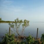 El deslinde incorpora territorios que &laquo;no re&uacute;nen las condiciones necesarias para ser considerados dominio mar&iacute;timo-terrestre&raquo;