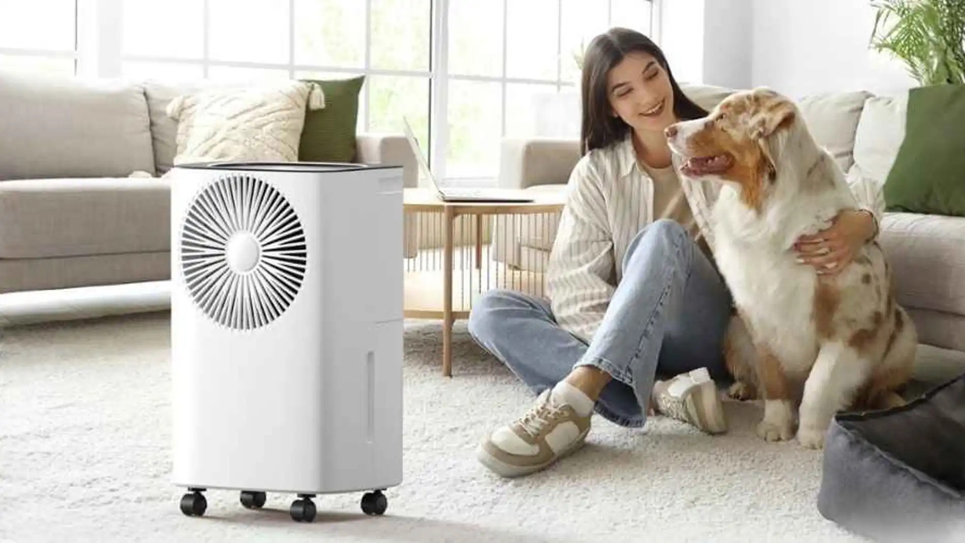 Secar la ropa dentro sin que huela a humedad es uno de los mayores ...