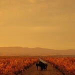 Un fotograma del spot