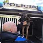 MADRID.-Cleo o Kena son algunos de los 30 perros policías de Madrid, que a los 8 años se jubilan con sus guías principalmente