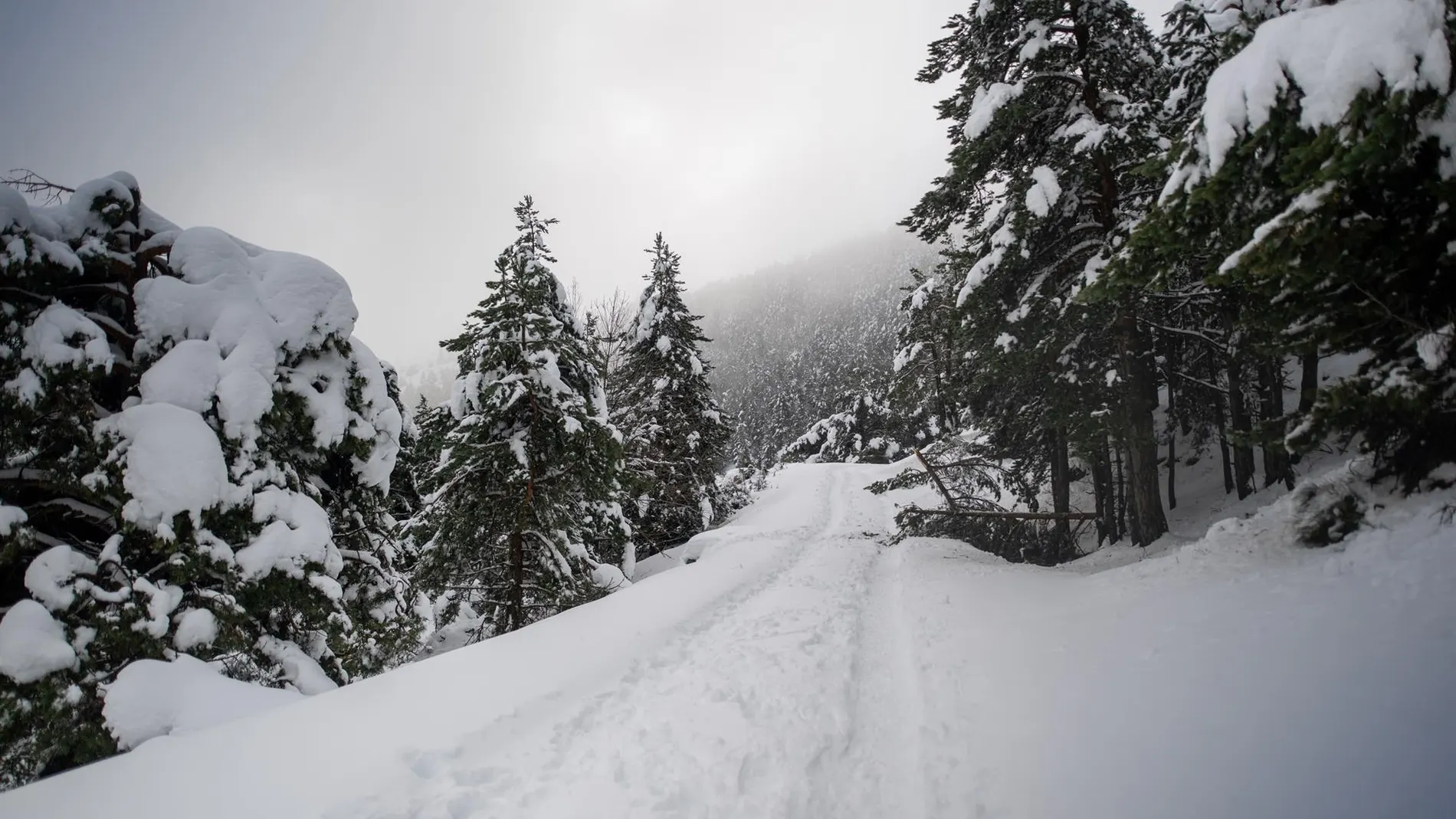 La borrasca 'Francis' dejará lluvia en amplias zonas de España este fin de semana y los Reyes llegarán con frío y nieve