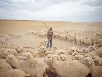 Imagen de un pastor que aparece en La Estela de los &Uacute;ltimos Trashumantes