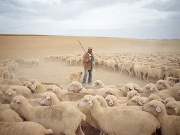 Imagen de un pastor que aparece en La Estela de los Últimos Trashumantes Imagen de un pastor que aparece en La Estela de los Últimos Trashumantes