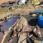 Vertedero ilegal con el cad&aacute;ver de un burro en Zamora