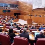 Un Pleno de las Cortes