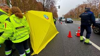 Herida grave al ser atropellada en un paso de peatones de la Avenida de ...