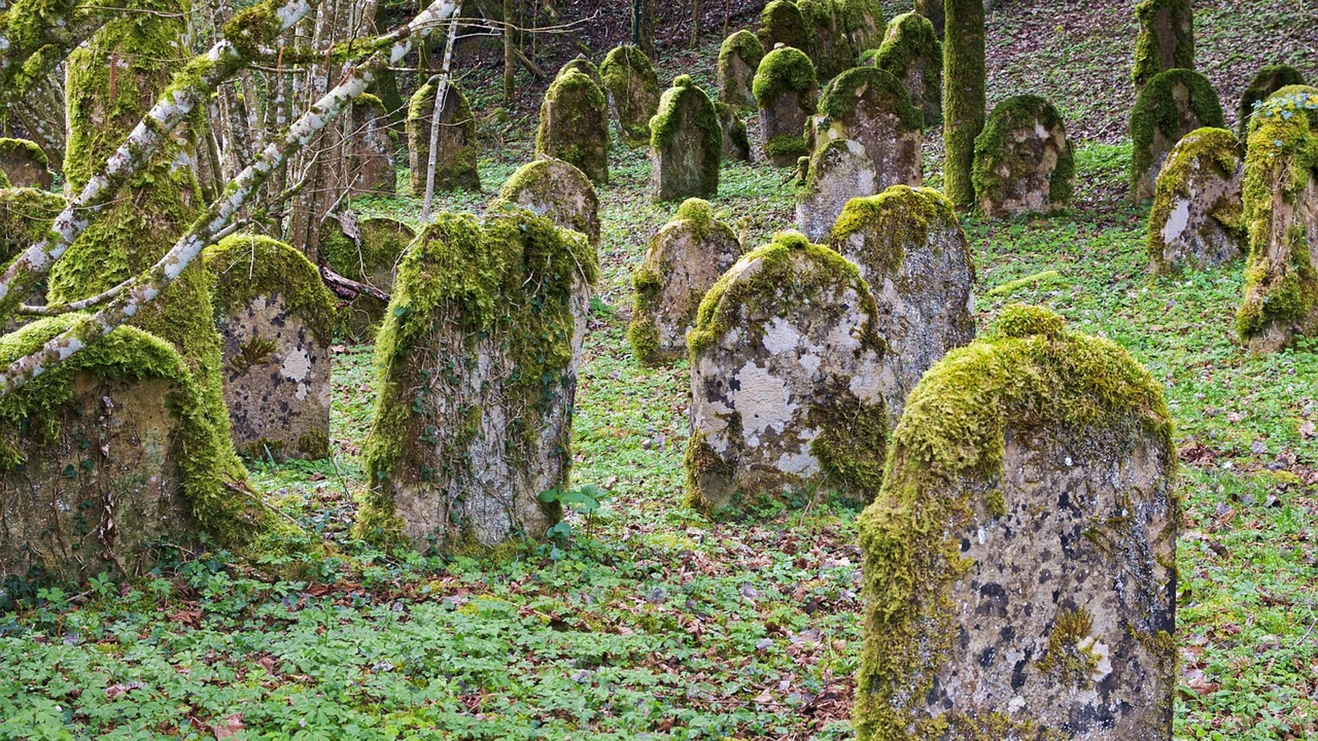 Imagen de archivo de tumbas