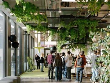 Perk implanta una incubadora interna para mantener la innovaci&oacute;n en su crecimiento