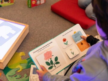 La iniciativa est&aacute; dirigida a estudiantes de 7 a 17 a&ntilde;os de edad