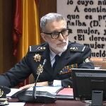 El jefe superior de la Polic&iacute;a Nacional en la Comunitat Valenciana, Carlos Gajero, en la comisi&oacute;n del Senado