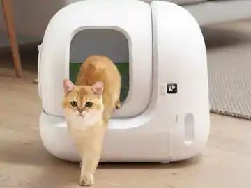 El PETKIT Pura MAX 2 soporta gatos de hasta 8 kg El PETKIT Pura MAX 2 soporta gatos de hasta 8 kg