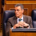 Pedro S&aacute;nchez, en el pleno del Congreso de los Diputados. David Jar