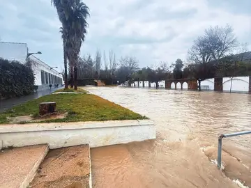 Situación de "preemergencia" en Jaén El río Aguascebas a su paso por Mogón.REMITIDA / HANDOUT por AYUNTAMIENTO DE VILLACARRILLOFotografía remitida a medios de comunicación exclusivamente para ilustrar la noticia a la que hace referencia la imagen, y citando la procedencia de la imagen en la firma27/01/2026