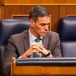 Pedro S&aacute;nchez, en el pleno del Congreso de los Diputados