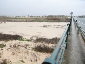 Situación de preemergencia en Lora del Río (Sevilla) por la subida del caudal del Guadalquivir Imagen del río Guadalquivir a su paso por la localidad sevillana de Lora del Río mostrando una importante subida de caudal tras las últimas lluvias dejadas por la borrasca Joseph. A 27 de enero de 2026, en Lora del Río, Sevilla (Andalucía, España). El Ayuntamiento de Lora del Río informa que se ha activado la fase de preemergencia del Plan Territorial de Emergencias, solo de forma preventiva y como vigilancia de los acontecimientos, ante la alerta amarilla decretada por la Agencia Estatal de ...
