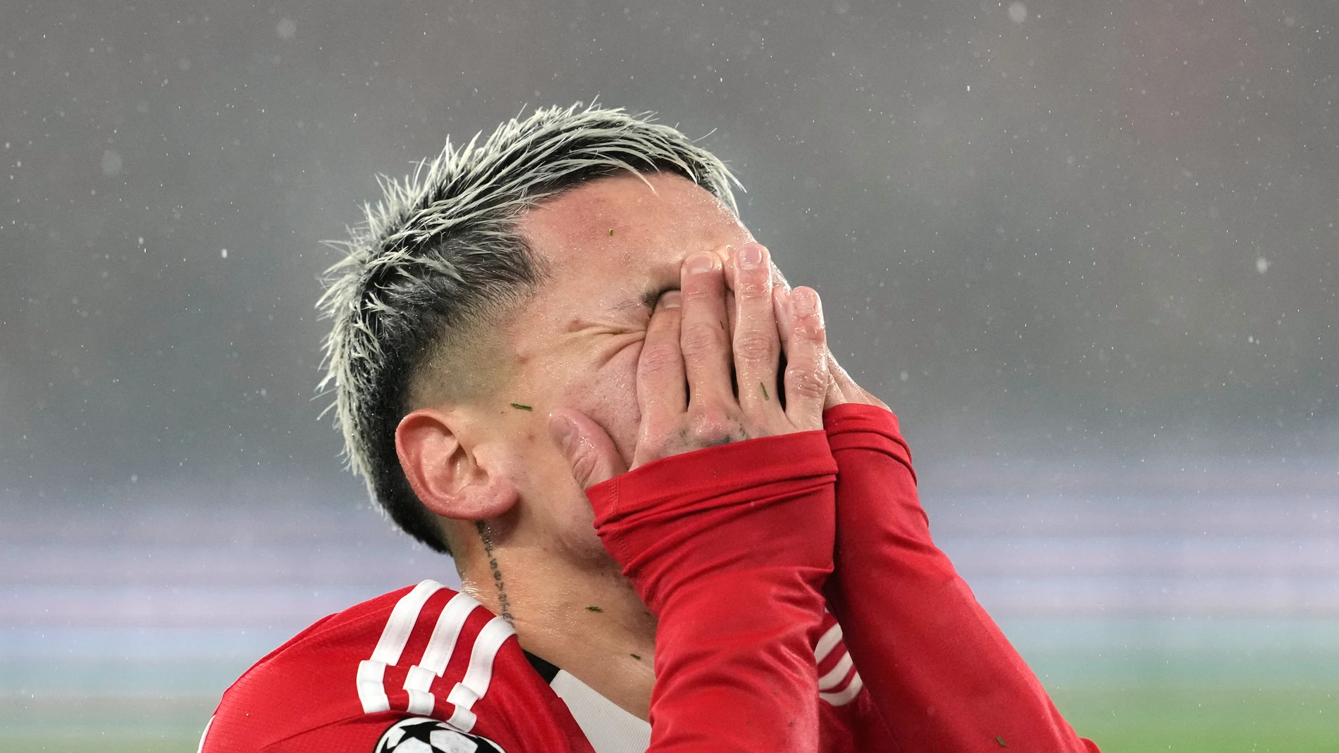 Benfica's Gianluca Prestianni reacts after shooting against the bar during a Champions League opening phase soccer match between Benfica and Real Madrid, in Lisbon, Wednesday, Jan. 28, 2026. (AP Photo/Armando Franca)