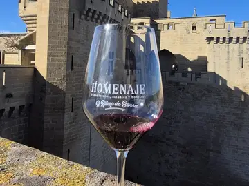 El castillo de Olite al fondo El castillo de Olite al fondo