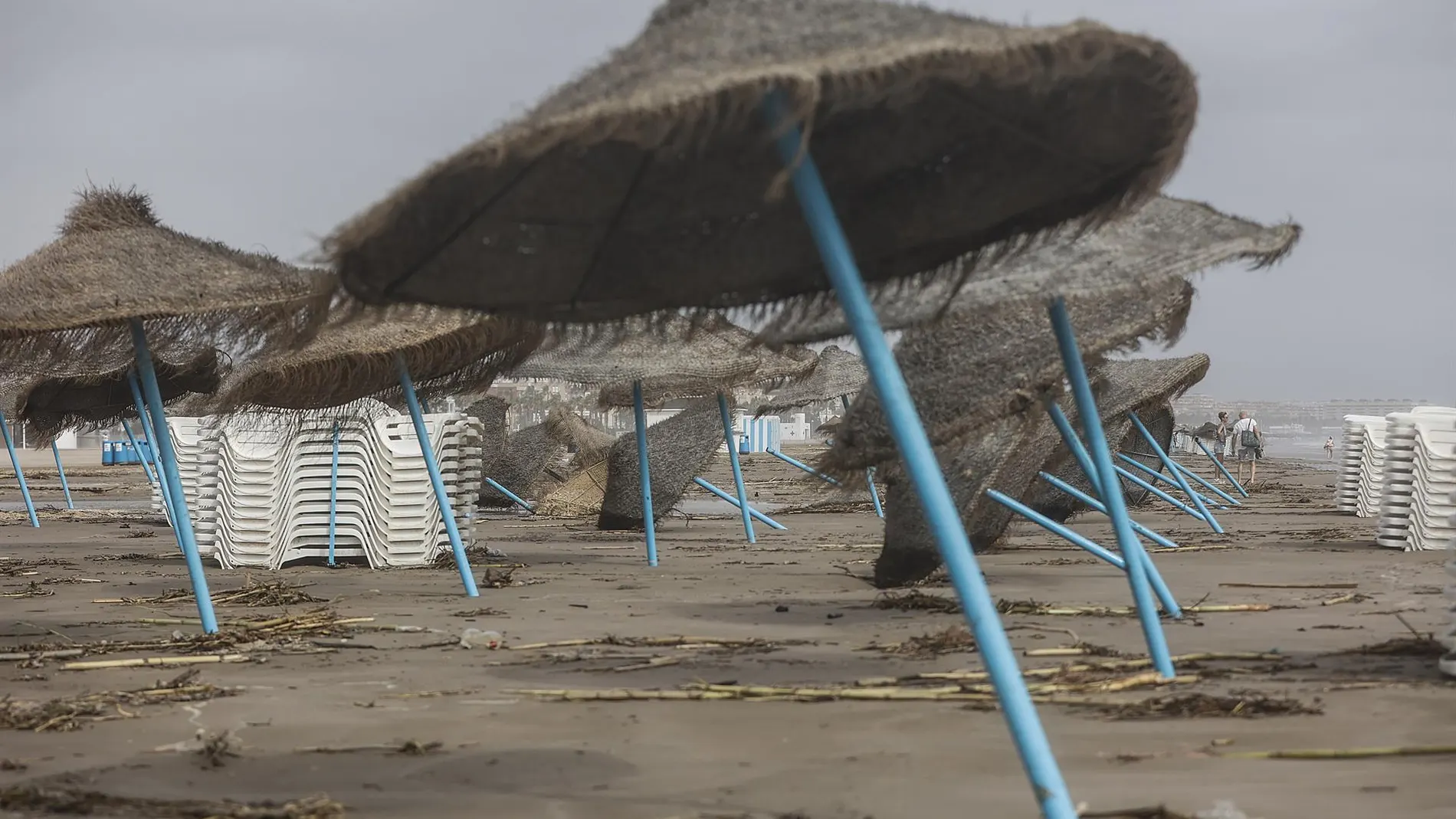 Temporal.- Gestionadas 176 incidentes relacionados con el viento en la Comunitat Valenciana