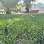 Murcia reduce un 35% el consumo de agua en sus zonas verdes gracias al riego inteligente y las lluvias ca&iacute;das