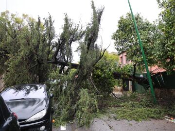 La Junta ha remitido el mensaje Es-Alert a 47 municipios de las comarcas de Grazalema, Estrecho y Ronda