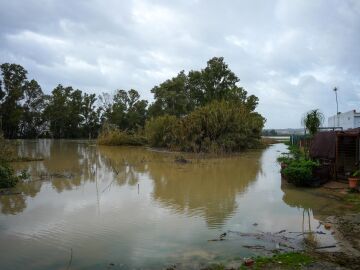 Siguen los desalojos por el temporal en la comunidad andaluza