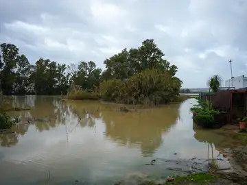 Siguen los desalojos por el temporal en la comunidad andaluza Siguen los desalojos por el temporal en la comunidad andaluza