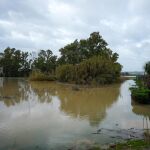 Siguen los desalojos por el temporal en la comunidad andaluza Siguen los desalojos por el temporal en la comunidad andaluza