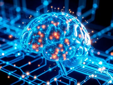 La mayor&iacute;a de medicamentos no consiguen llegar al cerebro: el 98% de todos los conocidos no logra traspasar la barrera hematoencef&aacute;lica