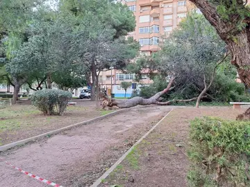 Temporal.- Bomberos de Cartagena (Murcia) realizan casi una treintena de intervenciones por el fuerte viento este jueves Temporal.- Bomberos de Cartagena (Murcia) realizan casi una treintena de intervenciones por el fuerte viento este jueves