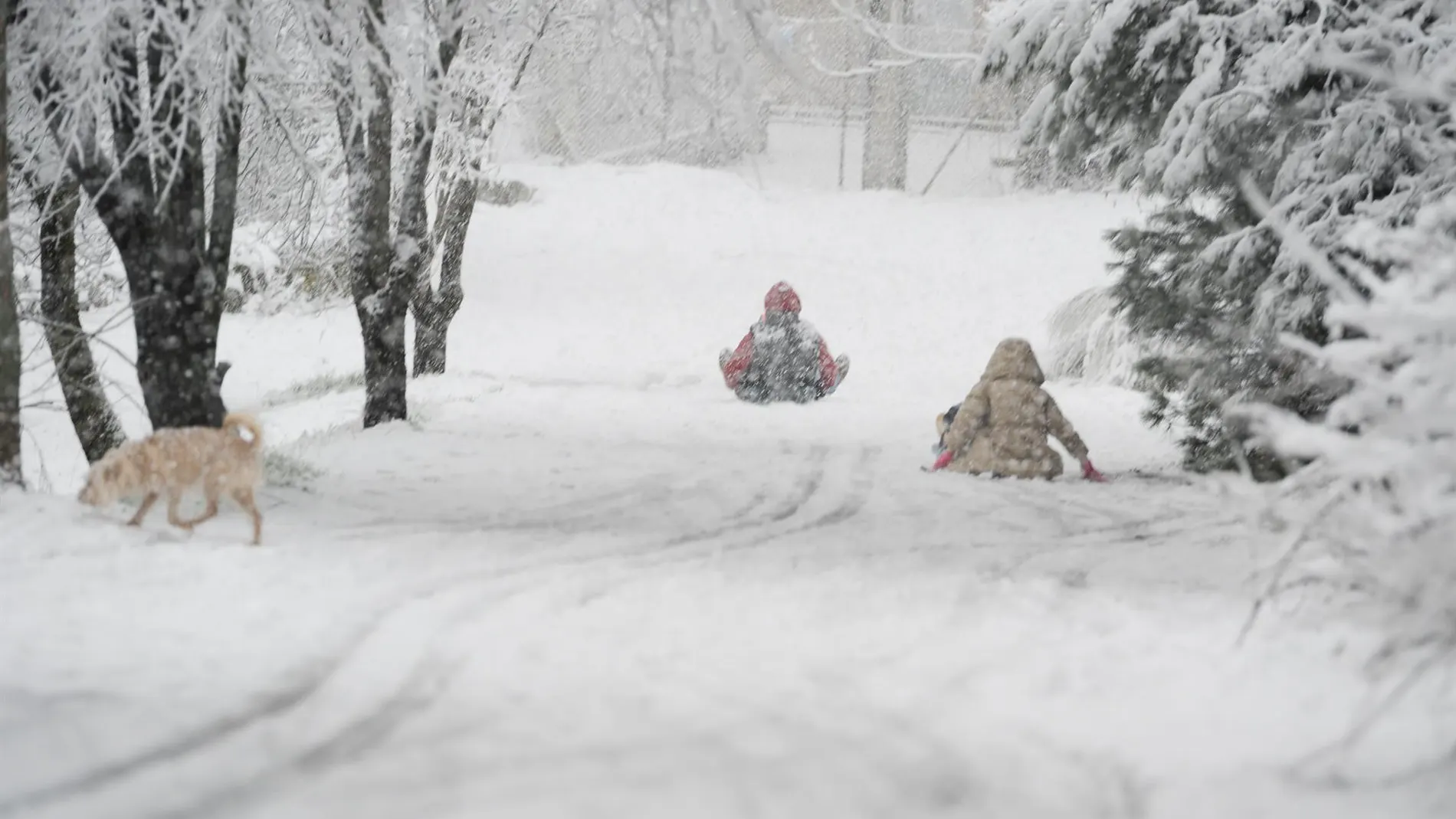 Imagen de archivo de nieve en la sierra de Madrid