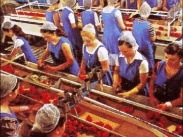 Molina de Segura fue la cuna de la conserva vegetal 