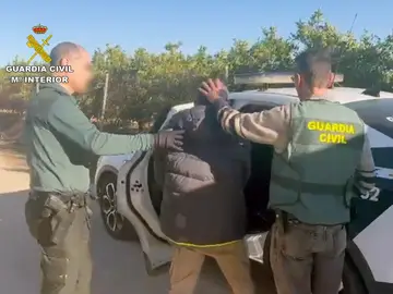 Una denuncia por violencia de género destapa una plantación de marihuana en una finca de Murcia Una denuncia por violencia de género destapa una plantación de marihuana en una finca de Murcia