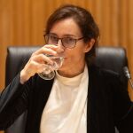 a ministra de Sanidad, M&oacute;nica Garc&iacute;a