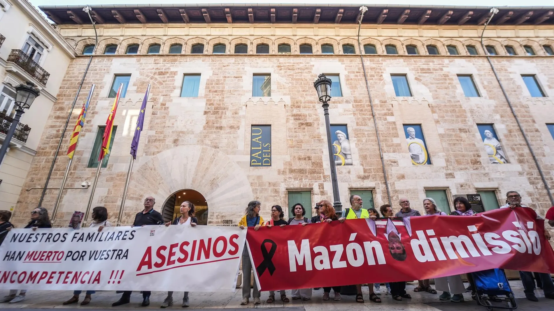 Las asociaciones de víctimas de la dana comparecerán los días 23 y 24 de febrero en Les Corts valencianas