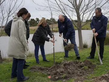 El presidente de la Diputación de Segovia, Miguel Ángel de Vicente, durante la plantación de un árbol El presidente de la Diputación de Segovia, Miguel Ángel de Vicente, durante la plantación de un árbol