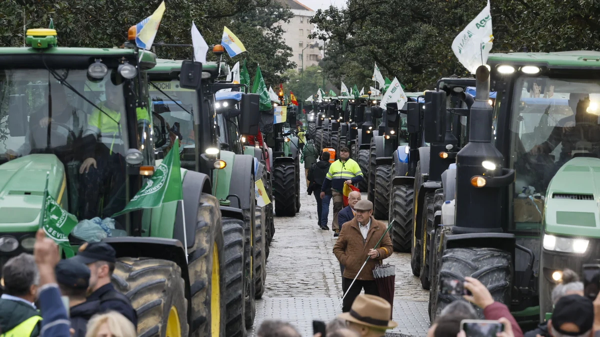 El campo andaluz se moviliza en Madrid ante la pérdida de rentabilidad