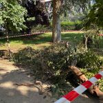 El Ayuntamiento pide precauci&oacute;n ante "riesgo" de ca&iacute;da de &aacute;rboles 