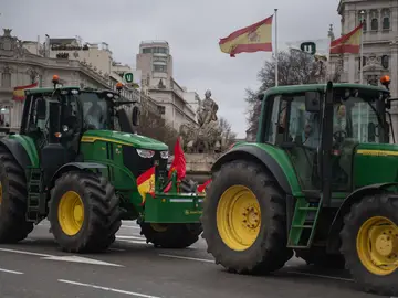 Cortes de tráfico en Madrid y vías de entrada a la capital por la tractorada Manifestantes se concentran con tractores en Plaza de Cibeles, a 11 de febrero de 2026, en Madrid (España). Convocados por Unión de Uniones de Agricultores y Ganaderos y la Unión Nacional de Asociaciones del Sector Primario Independientes (Unaspi) a nivel nacional, la marcha que ha reunido a más de 500 tractores, ha cortado el tráfico en algunas de las principales arterias de la capital y vías de entrada a la ciudad. 11 FEBRERO 2026 Fernando Sánchez / Europa Press 11/02/2026
