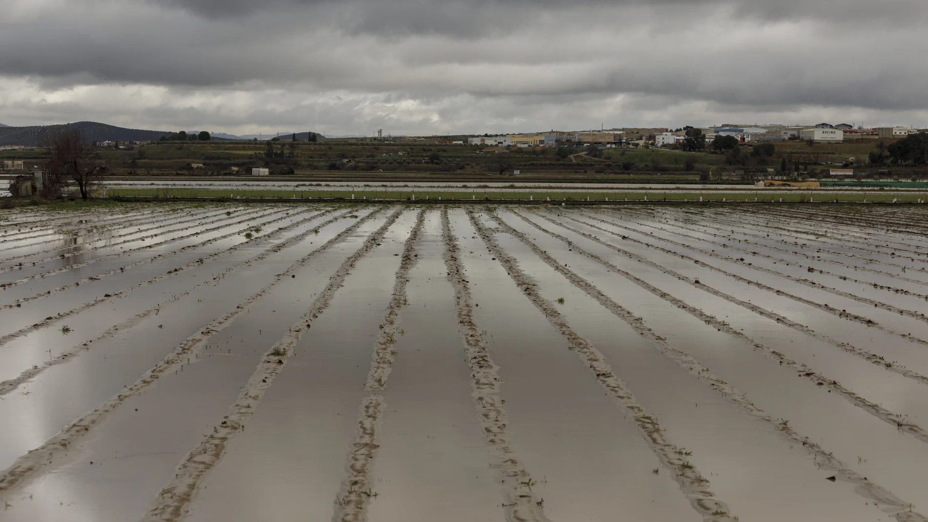 Cultivos anegados tras las inundaciones producidas por el desbordamiento del río Genil. A 9 de Febrero de 2026, en Huétor Tájar, Granada (Andalucía, España). La localidad de Húetor Tájar, en la comarca granadina de Loja, ha quedado convertida en una isla tras el desbordamiento del río Genil provocado por las fuertes lluvias de la borrasca Leonardo. Por el momento, Andalucía sigue en situación operativa 2 por las sucesivas borrascas, que han dejado desde el 27 de enero más de 10.925 incidencias y el desalojo de miles de personas. Además, la Unidad Militar de Emergencias (UME) ha desplegado en la comunidad un total de 500 efectivos y 200 medios que están actuando en las provincias de Málaga, Sevilla, Jaén y Cádiz. 09 FEBRERO 2026 Álex Cámara / Europa Press 09/02/2026