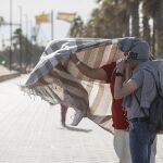 Temporal.- Emergencias de C.Valenciana gestiona m&aacute;s de 500 incidentes relacionados con el viento en las &uacute;ltimas 24 horas