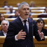 Marlaska esgrime que no hay "elementos" para negar el registro de Noviembre Nacional como partido pol&iacute;tico