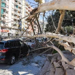 El viento provoca numerosas incidencias en Barcelona