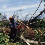 Talan de m&aacute;s los &aacute;rboles de una reserva natural y les multan con 130.000 euros: se negaron a pagarla hasta que la Fiscal&iacute;a intervino