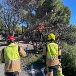 Los Bomberos atienden cerca de un centenar de incidencias por viento en Castell&oacute;n y Alicante