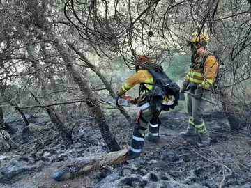 El incendio de Cabo Tiñoso, que ha afectado a una superficie de 98 hectáreas, apunta a un origen eléctrico El incendio de Cabo Tiñoso, que ha afectado a una superficie de 98 hectáreas, apunta a un origen eléctrico